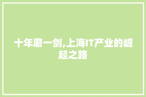 十年磨一剑,上海IT产业的崛起之路 SEO教程
