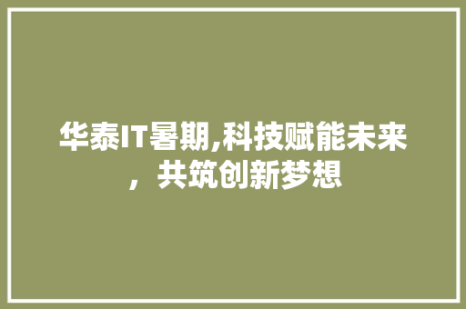 华泰IT暑期,科技赋能未来，共筑创新梦想