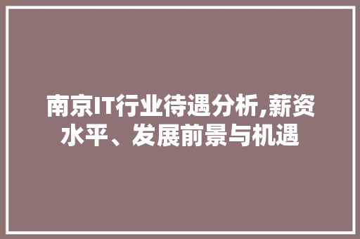 南京IT行业待遇分析,薪资水平、发展前景与机遇