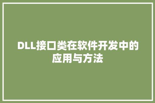 DLL接口类在软件开发中的应用与方法 SEO教程