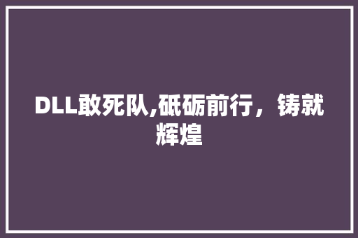 DLL敢死队,砥砺前行，铸就辉煌 SEO教程