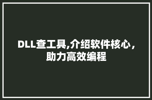 DLL查工具,介绍软件核心，助力高效编程