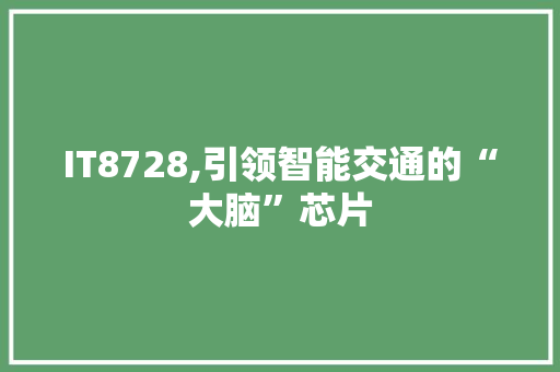 IT8728,引领智能交通的“大脑”芯片 WordPress教程