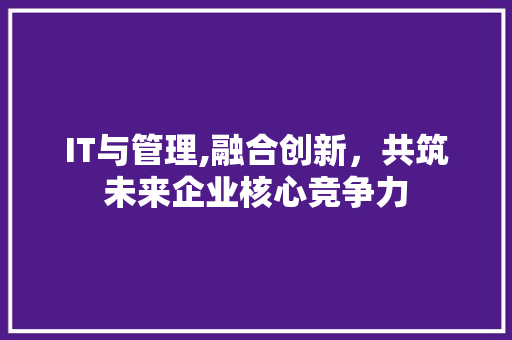 IT与管理,融合创新，共筑未来企业核心竞争力 WordPress教程