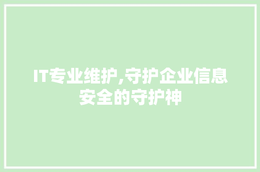 IT专业维护,守护企业信息安全的守护神 建站教程