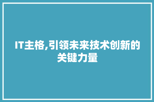 IT主格,引领未来技术创新的关键力量 Web前端