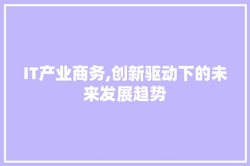 IT产业商务,创新驱动下的未来发展趋势 SEO教程