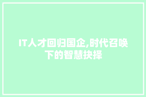 IT人才回归国企,时代召唤下的智慧抉择 友链在线
