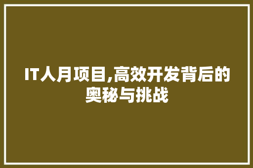 IT人月项目,高效开发背后的奥秘与挑战 建站教程
