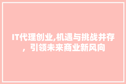 IT代理创业,机遇与挑战并存，引领未来商业新风向 建站教程