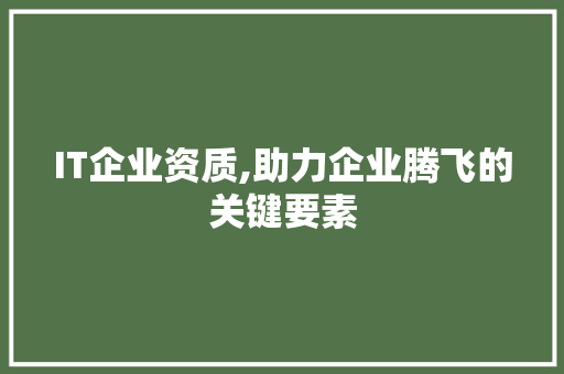 IT企业资质,助力企业腾飞的关键要素
