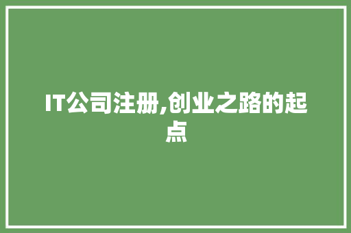 IT公司注册,创业之路的起点