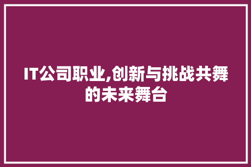 IT公司职业,创新与挑战共舞的未来舞台