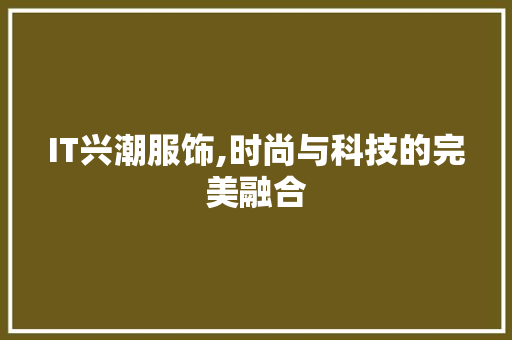 IT兴潮服饰,时尚与科技的完美融合 WordPress教程