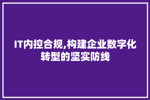 IT内控合规,构建企业数字化转型的坚实防线 WordPress教程