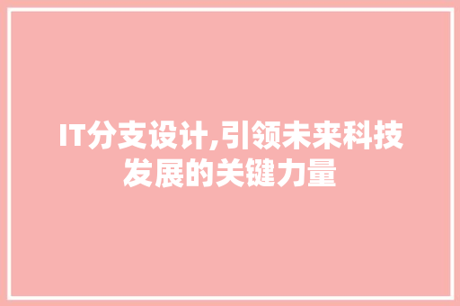 IT分支设计,引领未来科技发展的关键力量 SEO教程