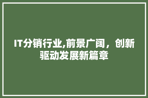 IT分销行业,前景广阔，创新驱动发展新篇章 建站教程