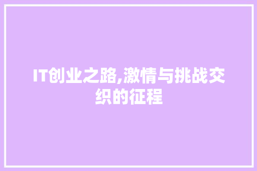 IT创业之路,激情与挑战交织的征程 SEO教程