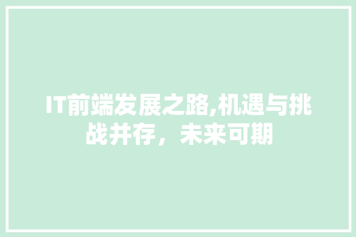 IT前端发展之路,机遇与挑战并存，未来可期 建站教程