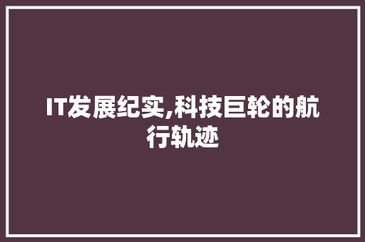 IT发展纪实,科技巨轮的航行轨迹