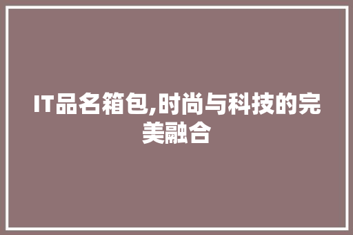 IT品名箱包,时尚与科技的完美融合 Web前端