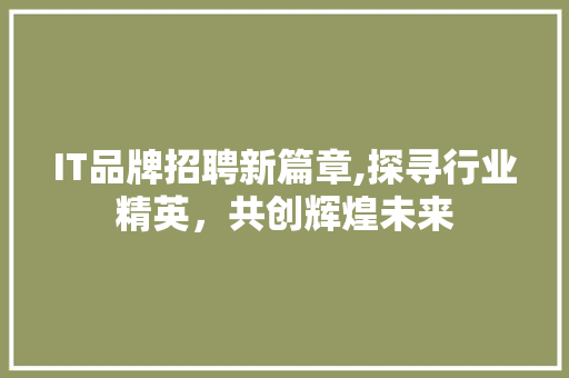 IT品牌招聘新篇章,探寻行业精英，共创辉煌未来