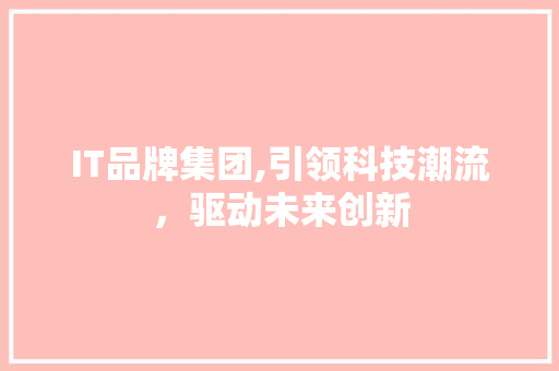 IT品牌集团,引领科技潮流，驱动未来创新