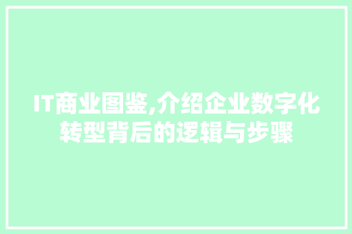 IT商业图鉴,介绍企业数字化转型背后的逻辑与步骤 SEO教程