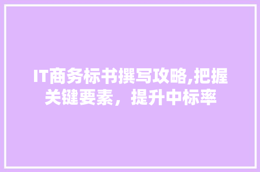 IT商务标书撰写攻略,把握关键要素，提升中标率