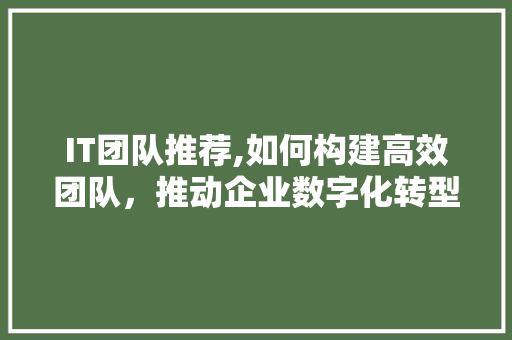 IT团队推荐,如何构建高效团队，推动企业数字化转型 建站教程