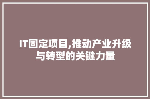 IT固定项目,推动产业升级与转型的关键力量