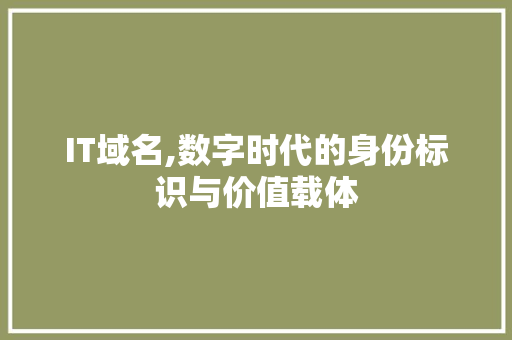 IT域名,数字时代的身份标识与价值载体