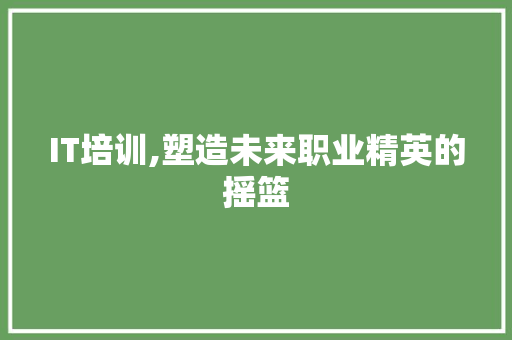 IT培训,塑造未来职业精英的摇篮
