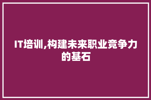 IT培训,构建未来职业竞争力的基石