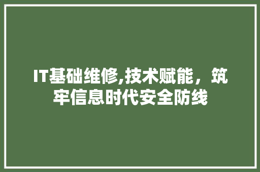 IT基础维修,技术赋能，筑牢信息时代安全防线 Web前端