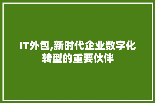 IT外包,新时代企业数字化转型的重要伙伴 Web前端