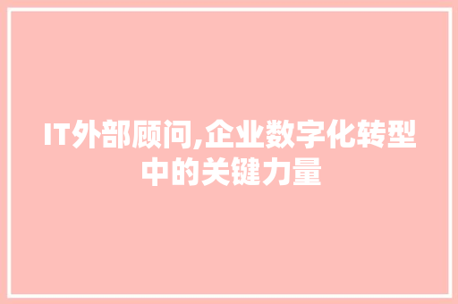 IT外部顾问,企业数字化转型中的关键力量