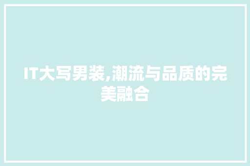 IT大写男装,潮流与品质的完美融合 Web前端