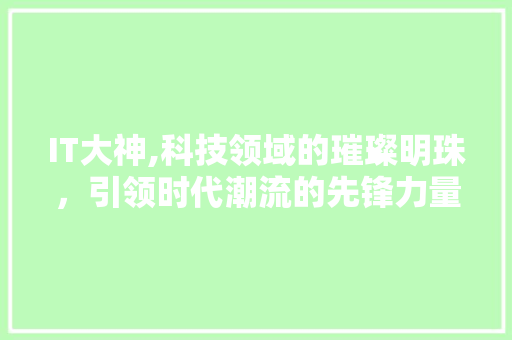 IT大神,科技领域的璀璨明珠，引领时代潮流的先锋力量