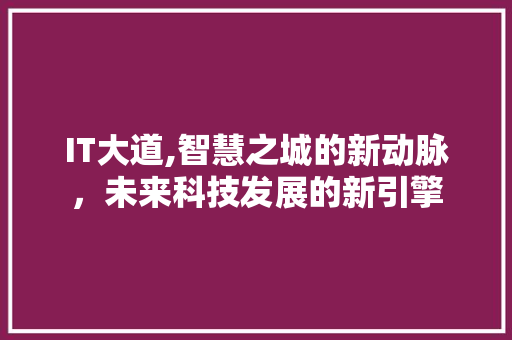 IT大道,智慧之城的新动脉，未来科技发展的新引擎