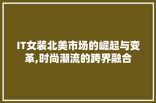 IT女装北美市场的崛起与变革,时尚潮流的跨界融合