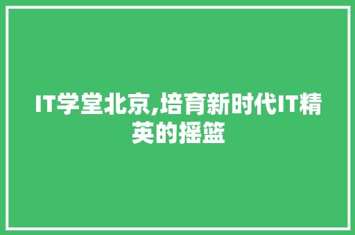 IT学堂北京,培育新时代IT精英的摇篮 WordPress教程