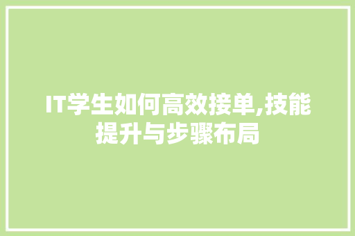 IT学生如何高效接单,技能提升与步骤布局