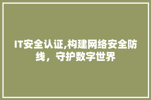 IT安全认证,构建网络安全防线，守护数字世界 WordPress教程