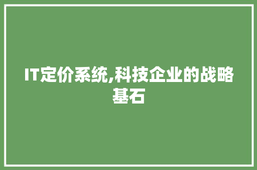 IT定价系统,科技企业的战略基石