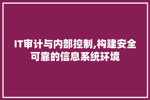 IT审计与内部控制,构建安全可靠的信息系统环境