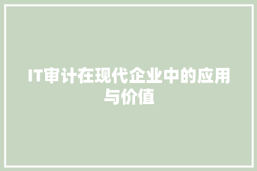 IT审计在现代企业中的应用与价值