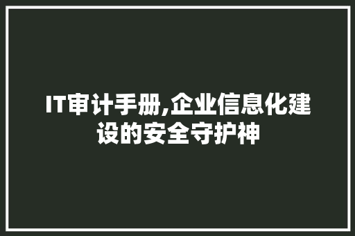 IT审计手册,企业信息化建设的安全守护神