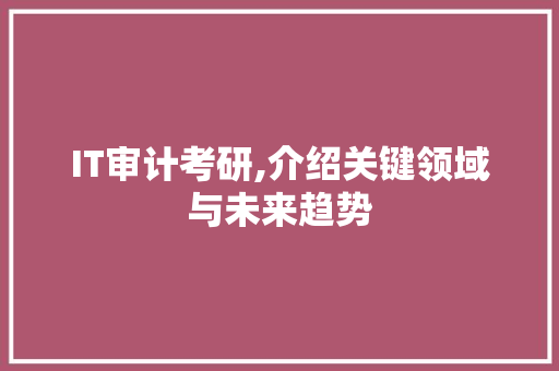IT审计考研,介绍关键领域与未来趋势 服务器/数据库