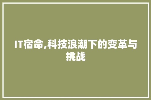 IT宿命,科技浪潮下的变革与挑战